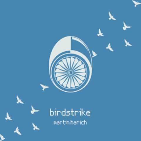 Birdstrike
