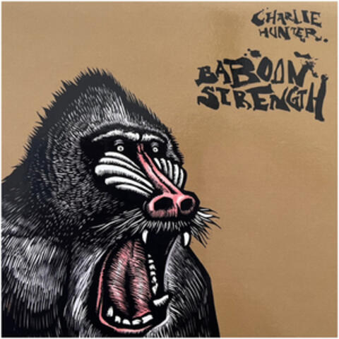 Baboon Strength