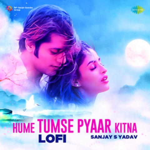 Hume Tumse Pyaar Kitna (Lofi) - Single