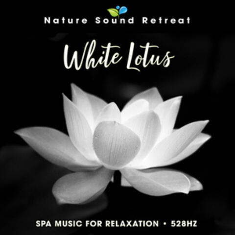 White Lotus: Spa Music for Relaxation - 528 Hz