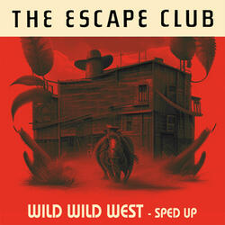 Wild Wild West