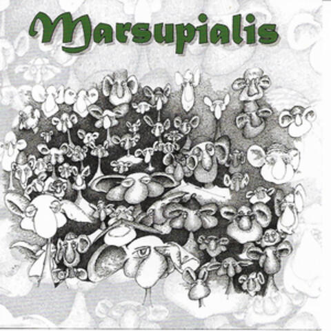 Marsupialis