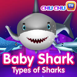 Baby Shark - Types of Sharks