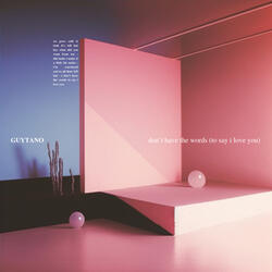 Don't Have The Words (To Say I Love You)
