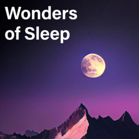 Wonders of Sleep