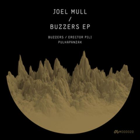 Buzzers