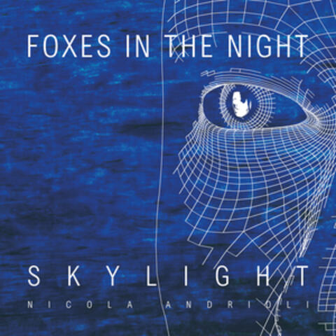 Foxes in the Night (feat. Kurt Rosenwinkel)