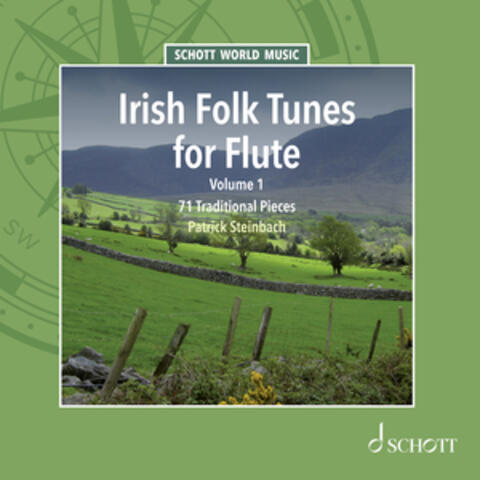 Irish Folk Tunes for Flute, Vol. 1