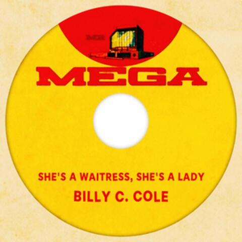 She's A Waitress, She's A Lady