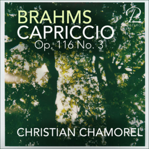 Christian Chamorel