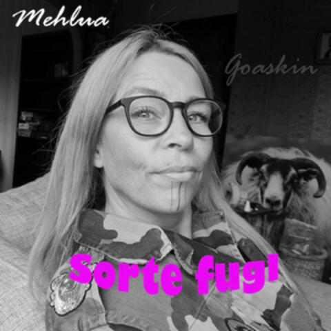 Sorte Fugl