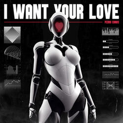 I Want Your Love