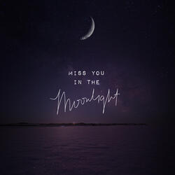 Miss You in the Moonlight