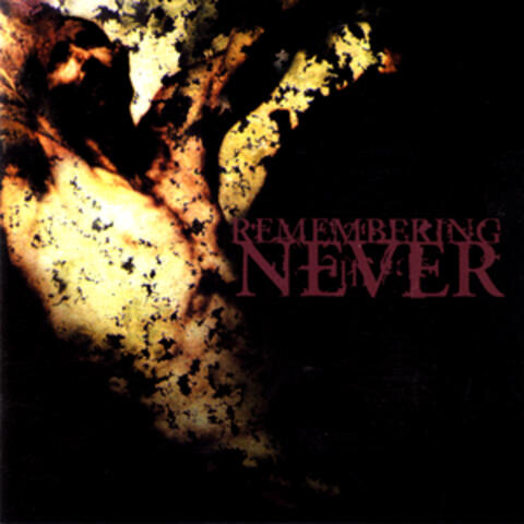 Remembering Never