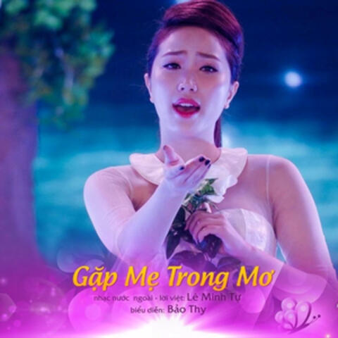 Gặp Mẹ Trong Mơ (Gala Nhạc Việt 4 - Những Giấc Mơ Trở Về)