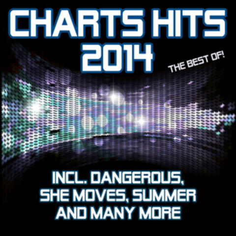 Charts Hits 2014 - The Best Of (Incl. Dangerous, She Moves, Summer and Many More)