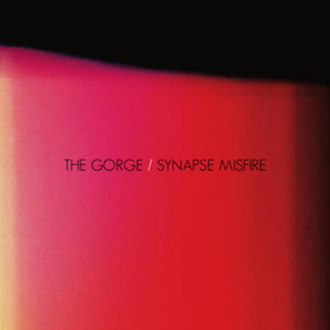 Synapse Misfire