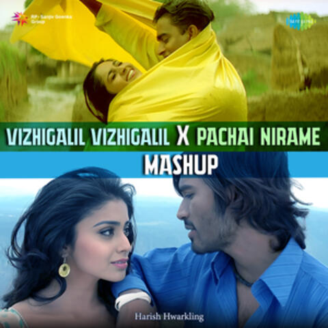 Vizhigalil Vizhigalil X Pachai Nirame (Mashup) - Single