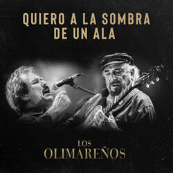 Quiero a la Sombra de un ala