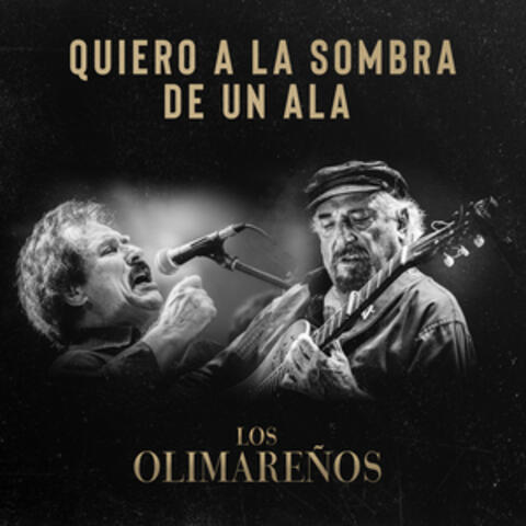Quiero a la Sombra de un ala