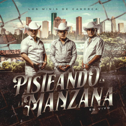Pisteando En La Manzana