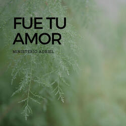 Fue tu amor
