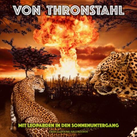 Mit Leoparden in den Sonnenuntergang