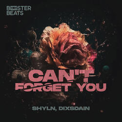 Can Forget You