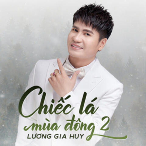 Chiếc Lá Mùa Đông 2 (Remix)