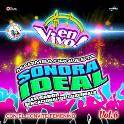Mix Sensacional La Cobra: La Cobra / El Trenecito / Cumbia Caliente
