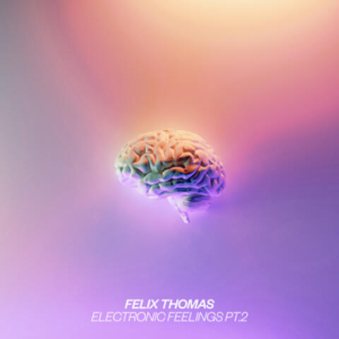 Electronic Feelings Pt.2