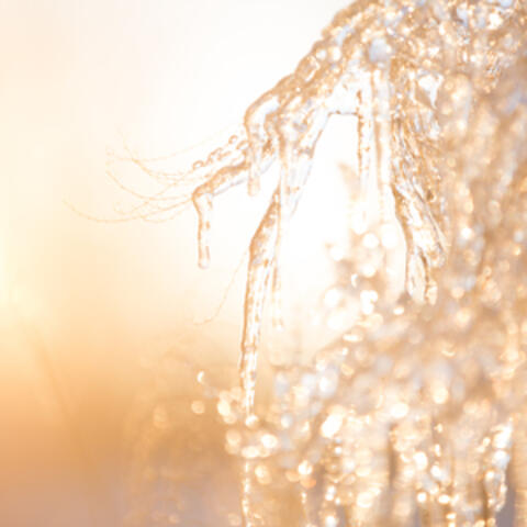 Snow Dance