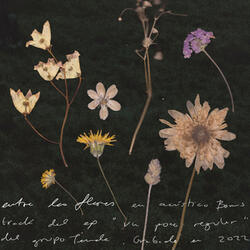 Entre las flores