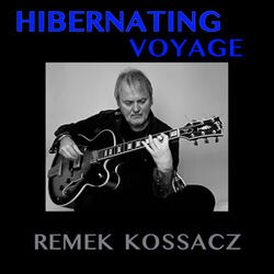 Hibernating Voyage