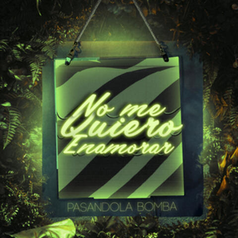 No Me Quiero Enamorar