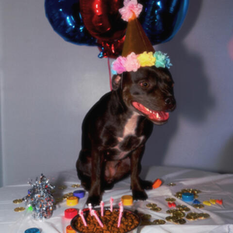 Birthday Party