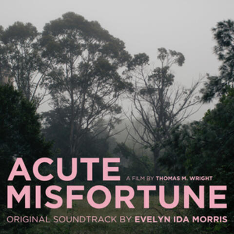 Acute Misfortune (Music from the Original Motion Picture)