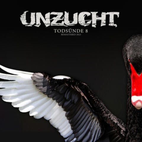 Todsünde 8