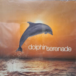 Dolphin Sunrise