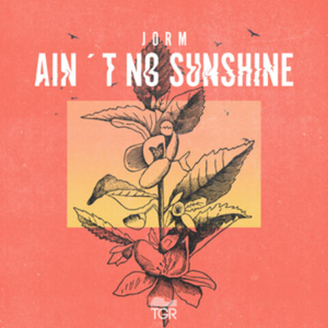 Ain't No Sunshine