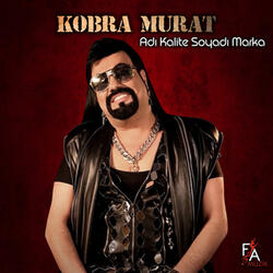 Adı Kalite Soyadı Marka /Kobra Gayda