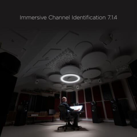 2L Immersive Channel Identification 7.1.4