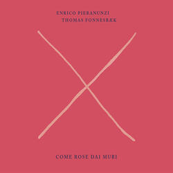 Come Rose Dai Muri