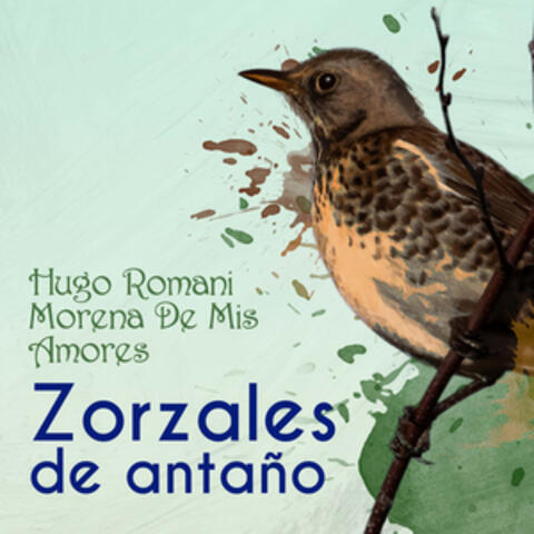 Zorzales de Antaño - Hugo Romani - Morena De Mis Amores