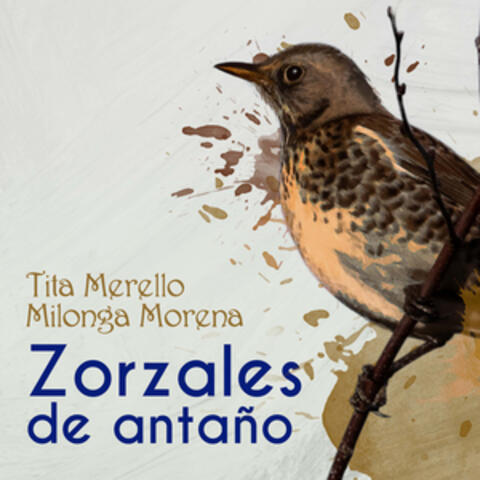 Zorzales de Antaño - Tita Merello - Milonga Morena
