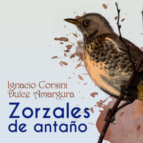 Zorzales de Antaño - Ignacio Corsini - Dulce Amargura