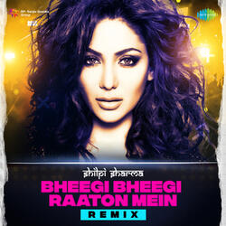 Bheegi Bheegi Raaton Mein (From "Ajanabee")