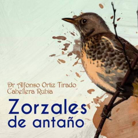Zorzales de Antaño - Dr. Alfonso Ortiz Tirado - Cabellera Rubia