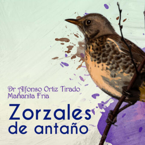 Zorzales de Antaño - Dr. Alfonso Ortiz Tirado - Mañanita Fria