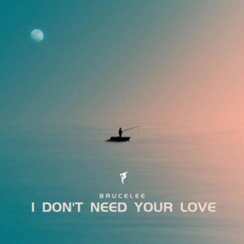 I Don't Need Your Love